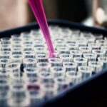 louis-reed-pwcKF7L4-no-unsplash (1)